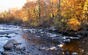 Moose River near Port Leyden